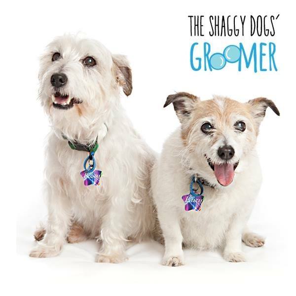 The Shaggy Dog’s Groomer